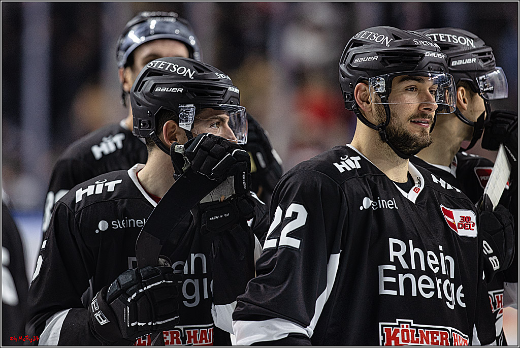 PENNY DEL 1. Koelner Haie - Fischtown Pinguins Bremerhaven; Koeln, 01.11.2023