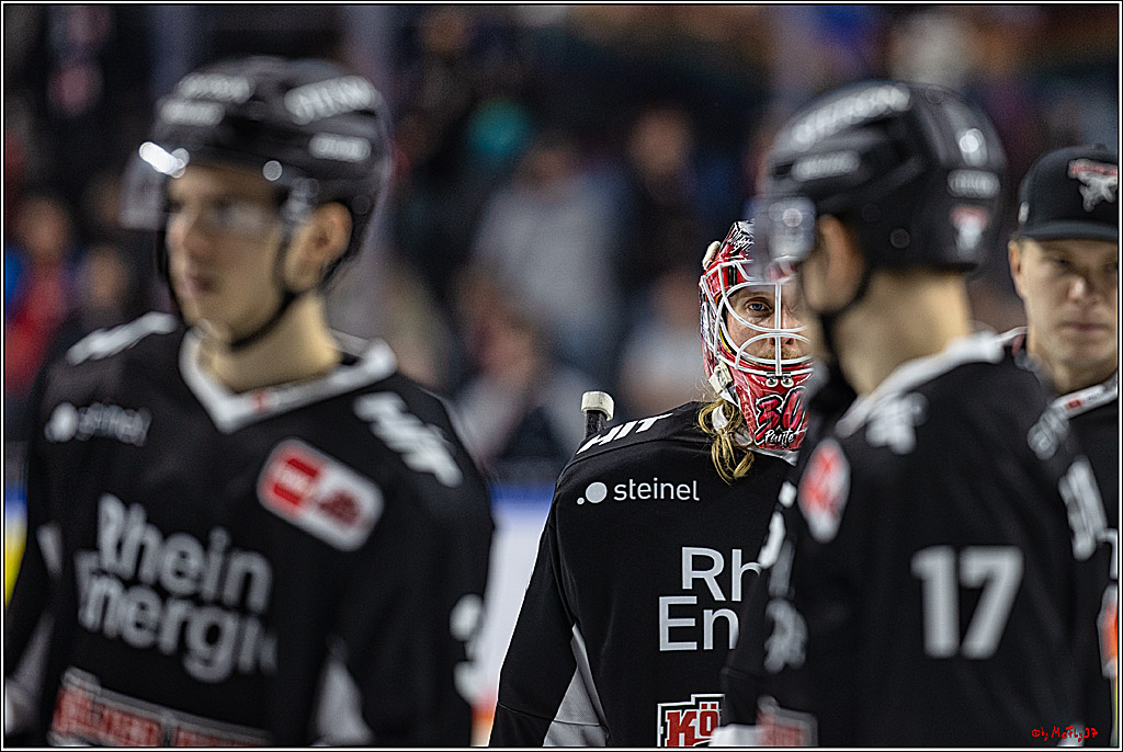 PENNY DEL 1. Koelner Haie - Fischtown Pinguins Bremerhaven; Koeln, 01.11.2023