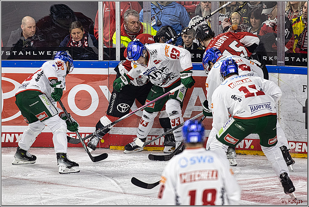 PENNY DEL 1. Koelner Haie - Augsburger Panther; Koeln, 19.11.2023