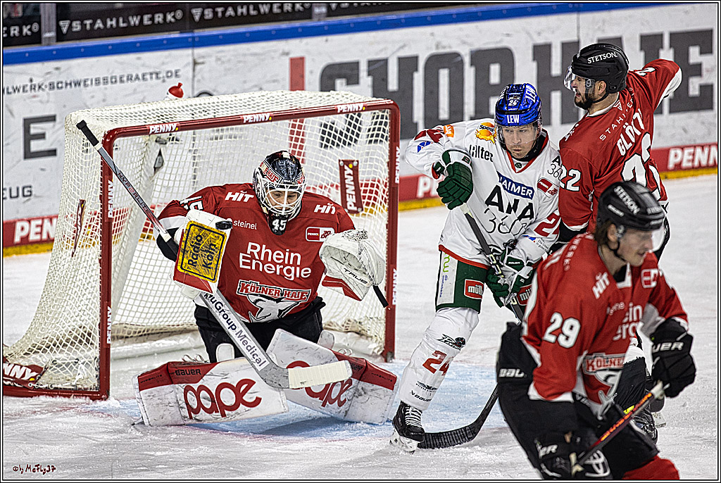 PENNY DEL 1. Koelner Haie - Augsburger Panther; Koeln, 19.11.2023