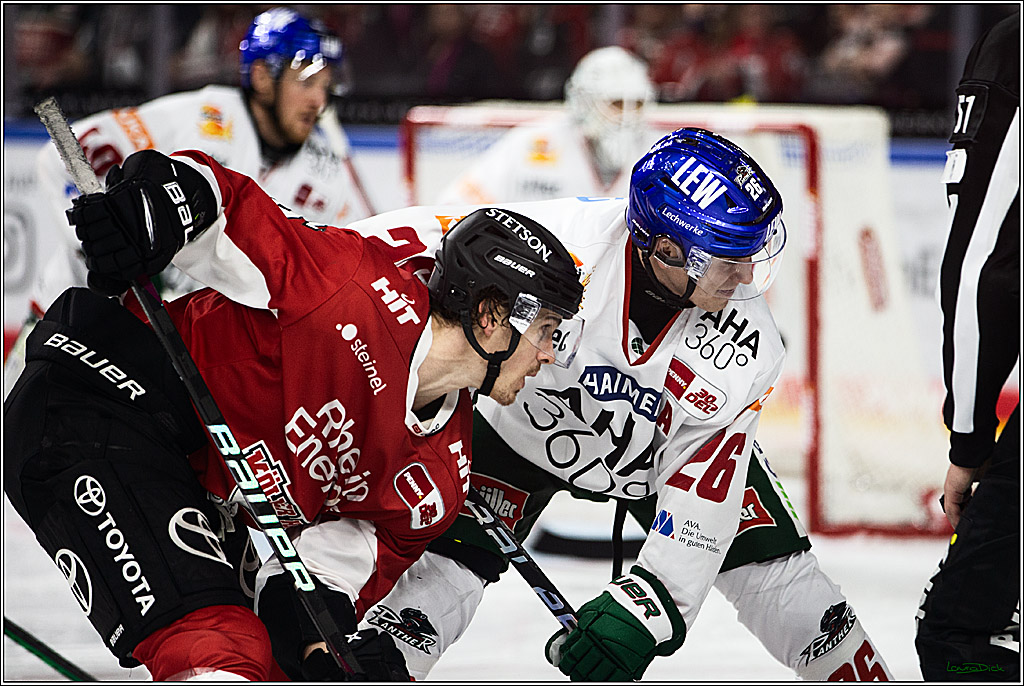PENNY DEL; Koelner Haie-Augsburger Panthers; Koeln, 19.11.2023