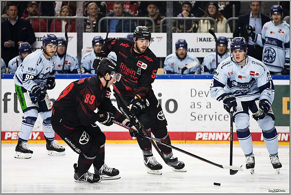 PENNY DEL; Koelner Haie-Straubing Tigers; Koeln, 24.11.2023