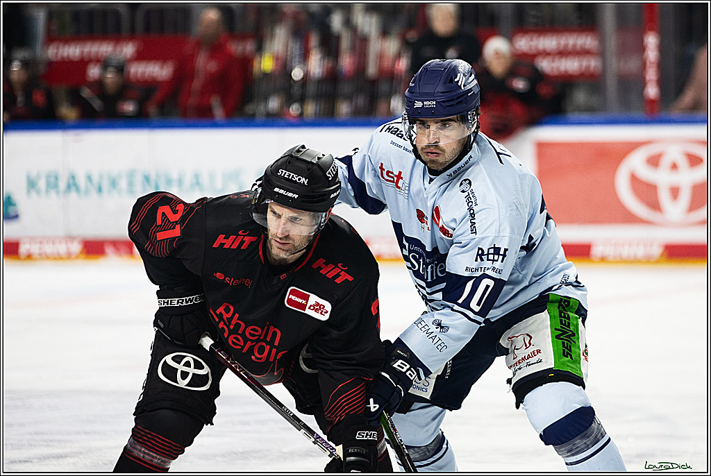 PENNY DEL; Koelner Haie-Straubing Tigers; Koeln, 24.11.2023