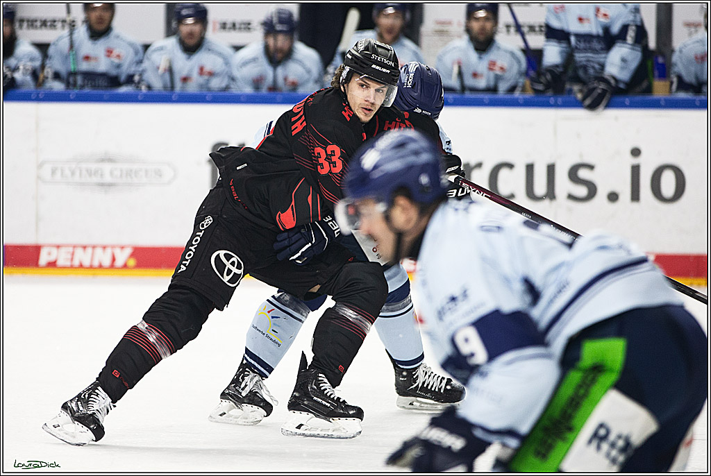 PENNY DEL; Koelner Haie-Straubing Tigers; Koeln, 24.11.2023