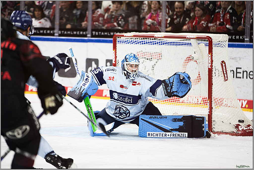 PENNY DEL; Koelner Haie-Straubing Tigers; Koeln, 24.11.2023