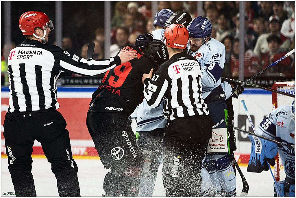 PENNY DEL; Koelner Haie-Straubing Tigers; Koeln, 24.11.2023