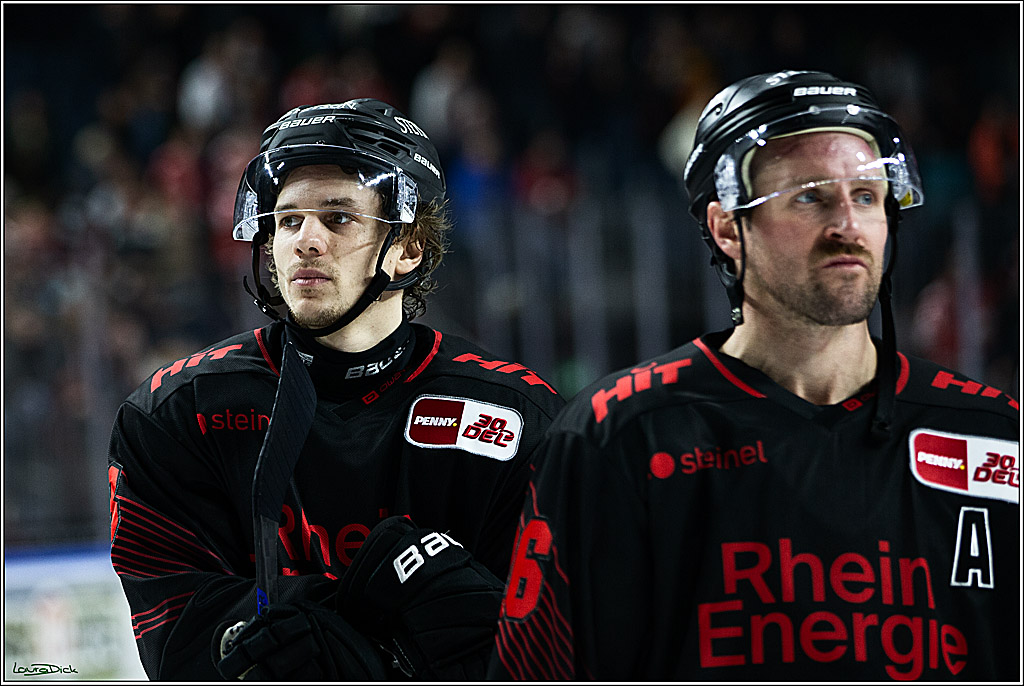 PENNY DEL; Koelner Haie-Straubing Tigers; Koeln, 24.11.2023