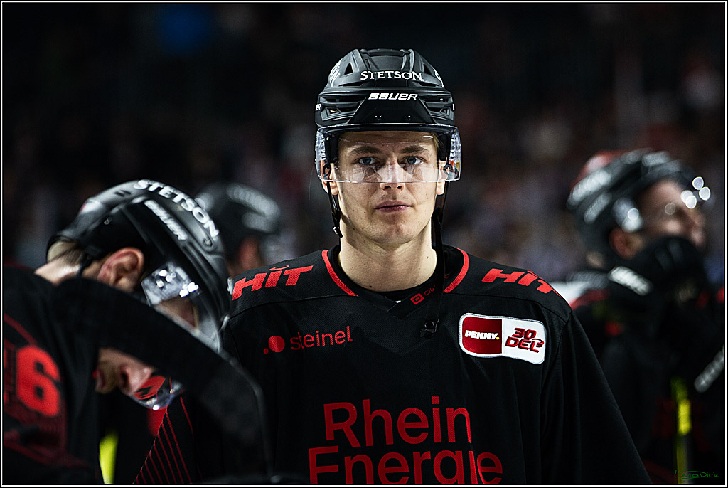 PENNY DEL; Koelner Haie-Straubing Tigers; Koeln, 24.11.2023