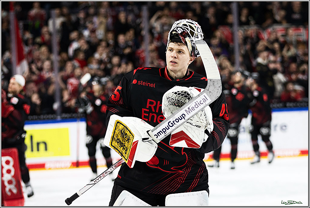 PENNY DEL; Koelner Haie-Straubing Tigers; Koeln, 24.11.2023