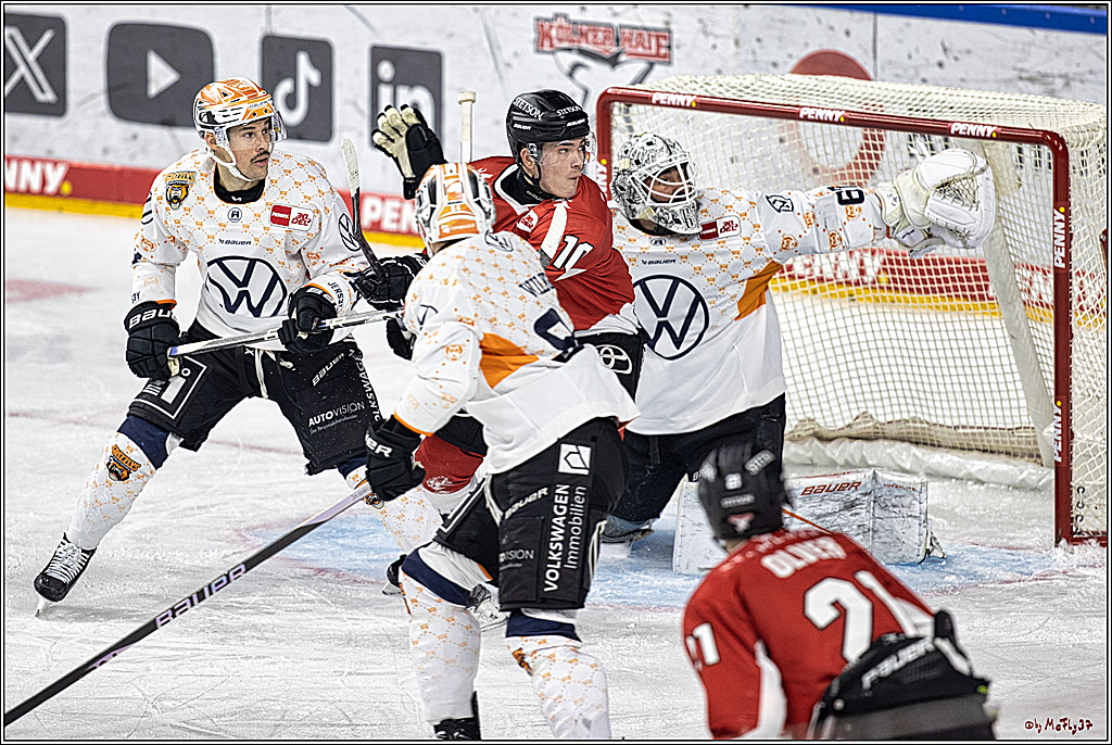 PENNY DEL 1. Koelner Haie - Grizzlys Wolfsburg; Koeln, 28.11.2023