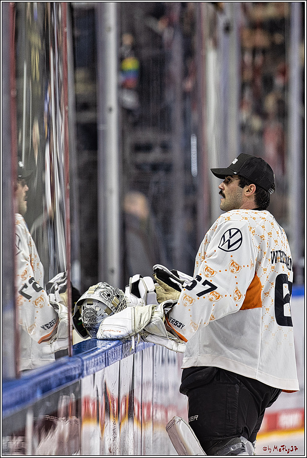 PENNY DEL 1. Koelner Haie - Grizzlys Wolfsburg; Koeln, 28.11.2023