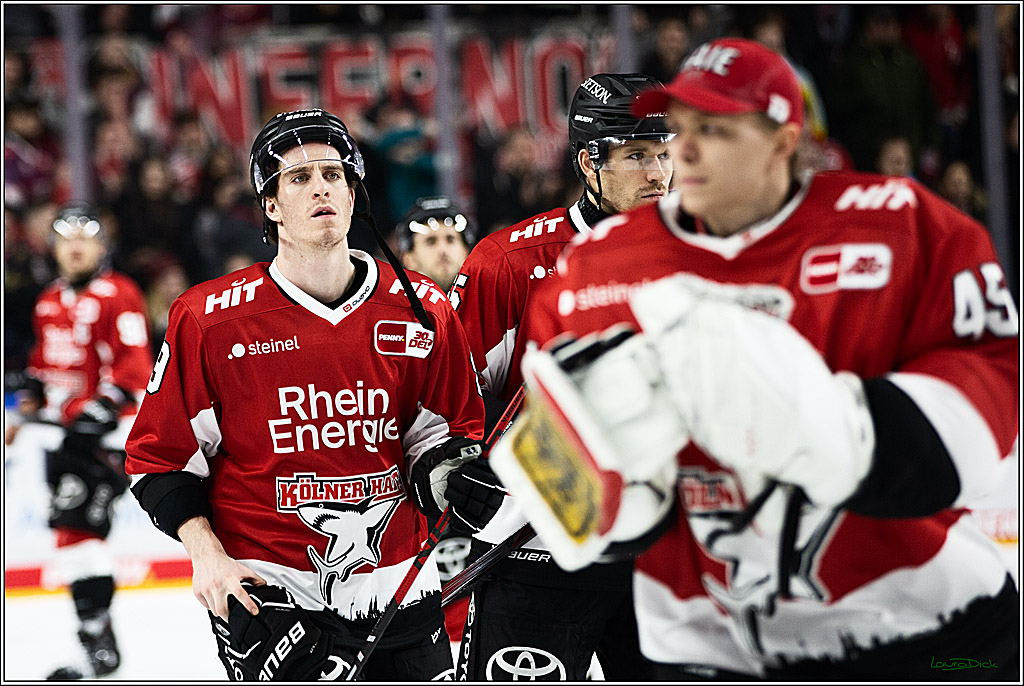 PENNY DEL; Koelner Haie- Grizzly Wolfsburg; Koeln, 28.11.2023