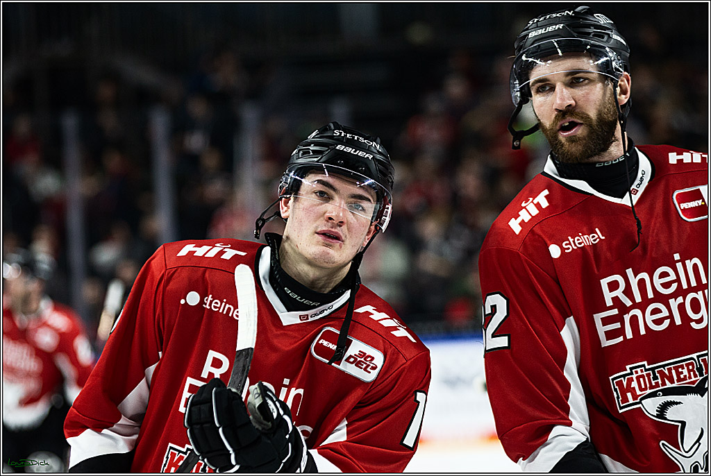 PENNY DEL; Koelner Haie- Grizzly Wolfsburg; Koeln, 28.11.2023