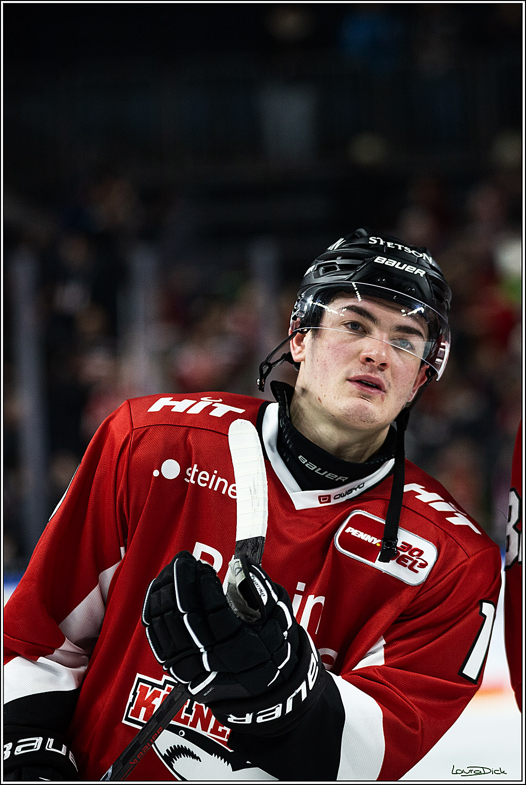 PENNY DEL; Koelner Haie- Grizzly Wolfsburg; Koeln, 28.11.2023