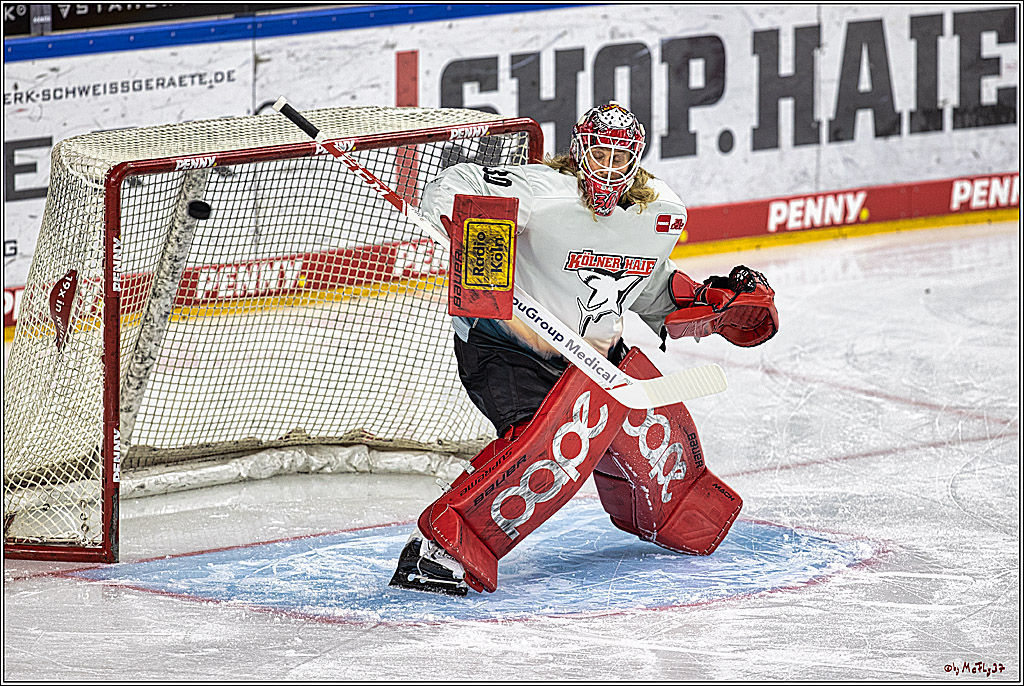 PENNY DEL 1. Koelner Haie - Grizzlys Wolfsburg; Koeln, 28.11.2023
