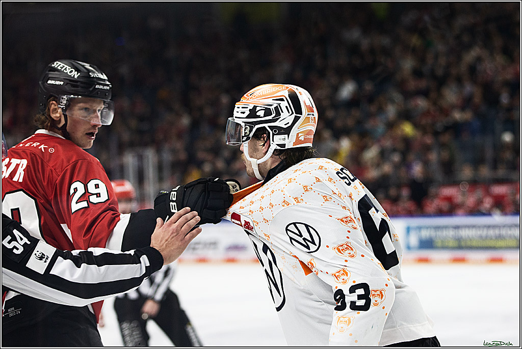 PENNY DEL; Koelner Haie- Grizzly Wolfsburg; Koeln, 28.11.2023