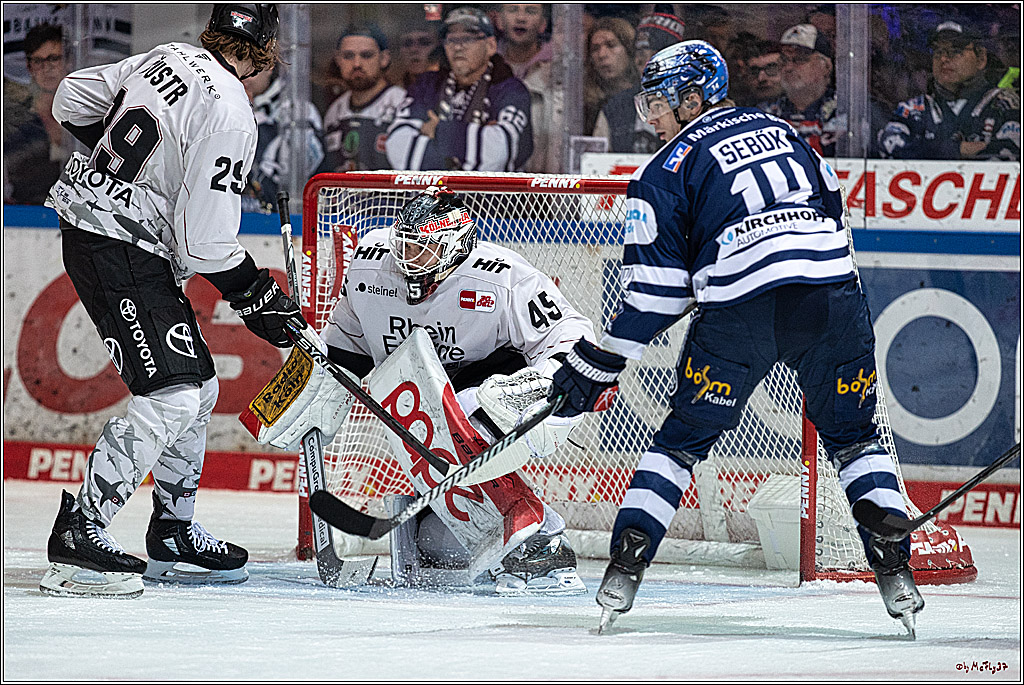 PENNY DEL Iserlohn Roosters - 1. Koelner Haie; Iserlohn, 01.12.2023