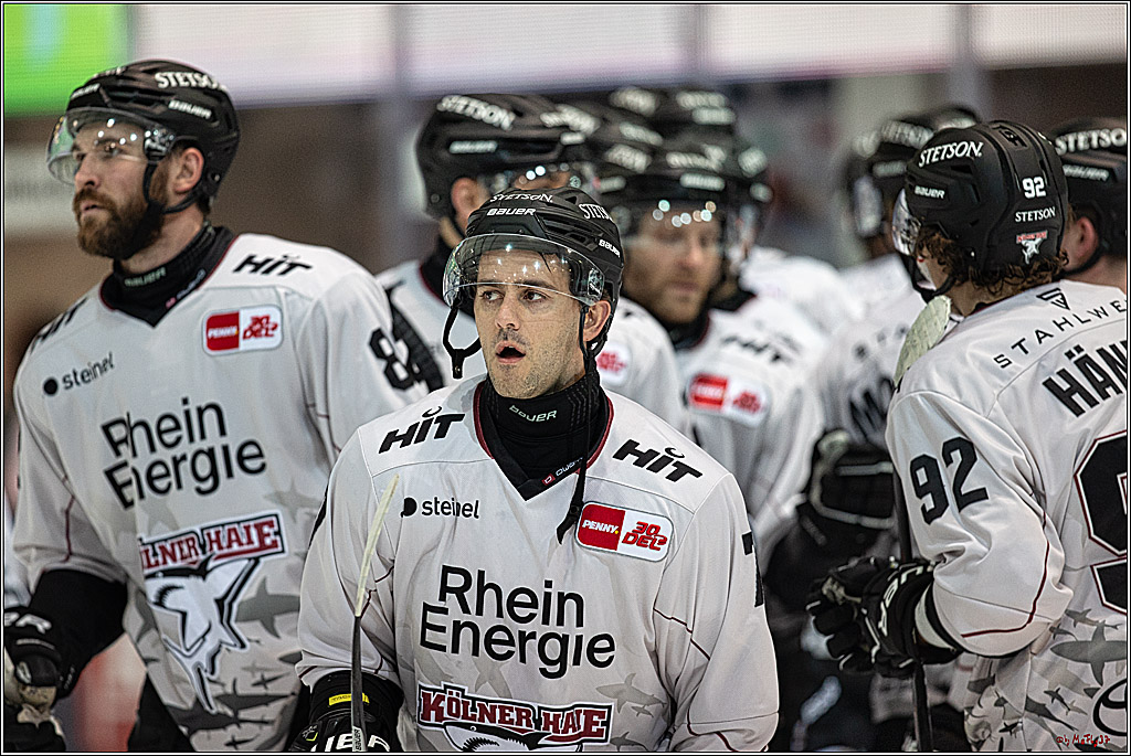 PENNY DEL Iserlohn Roosters - 1. Koelner Haie; Iserlohn, 01.12.2023