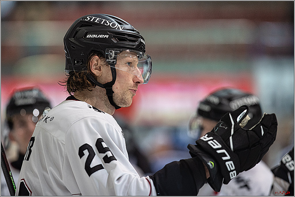 PENNY DEL Iserlohn Roosters - 1. Koelner Haie; Iserlohn, 01.12.2023
