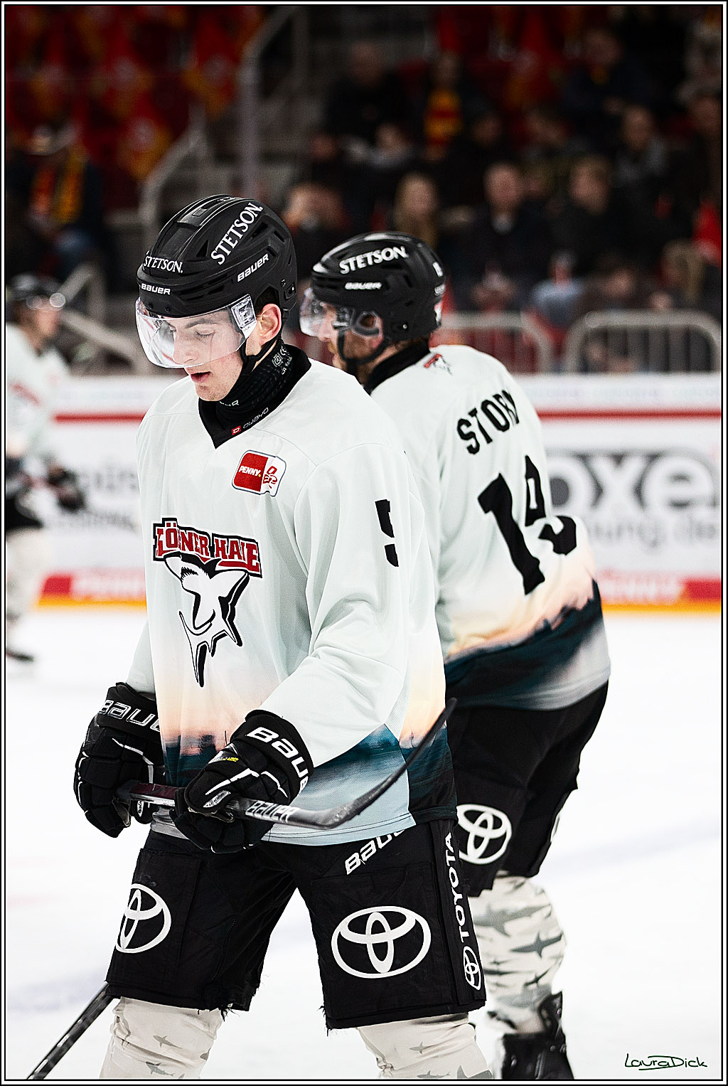 PENNY DEL; Duesseldorfer EG- Koelner Haie; Duesseldorf, 03.12.2023