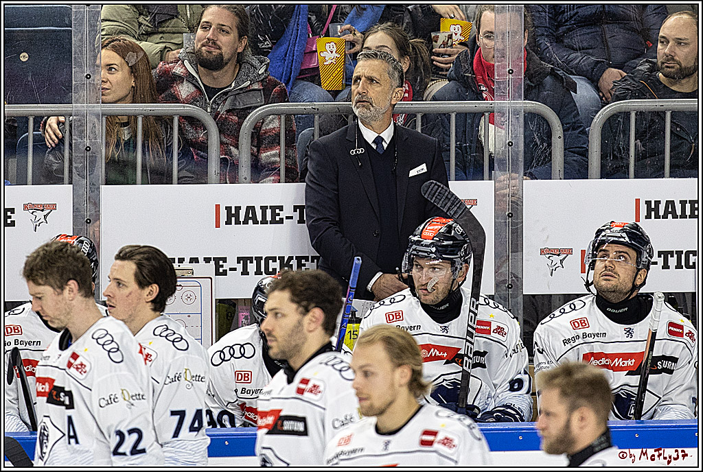 PENNY DEL 1, Koelner Haie - ERC Ingolstadt; Köln, 07.12.2023