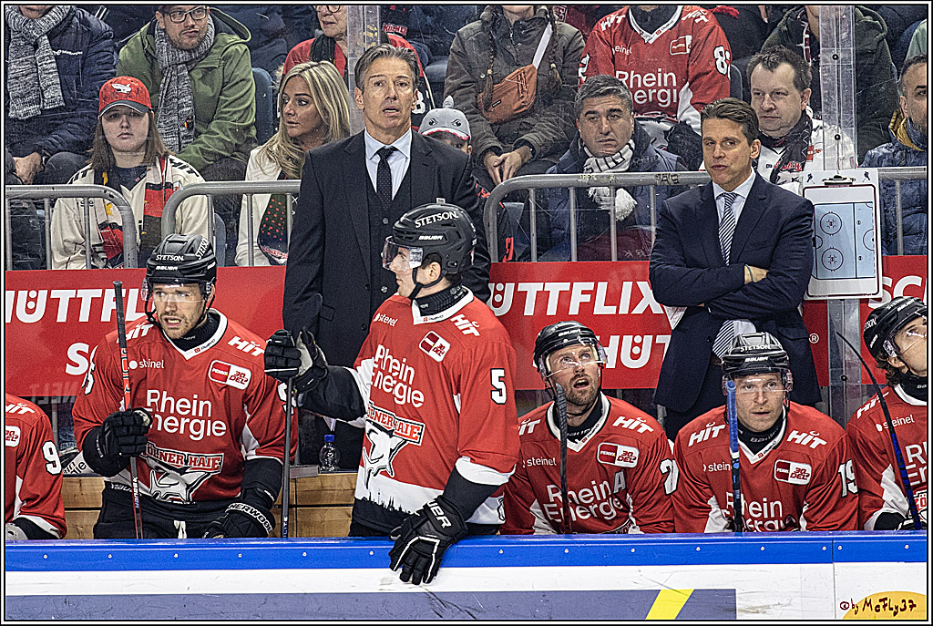 PENNY DEL 1, Koelner Haie - ERC Ingolstadt; Köln, 07.12.2023