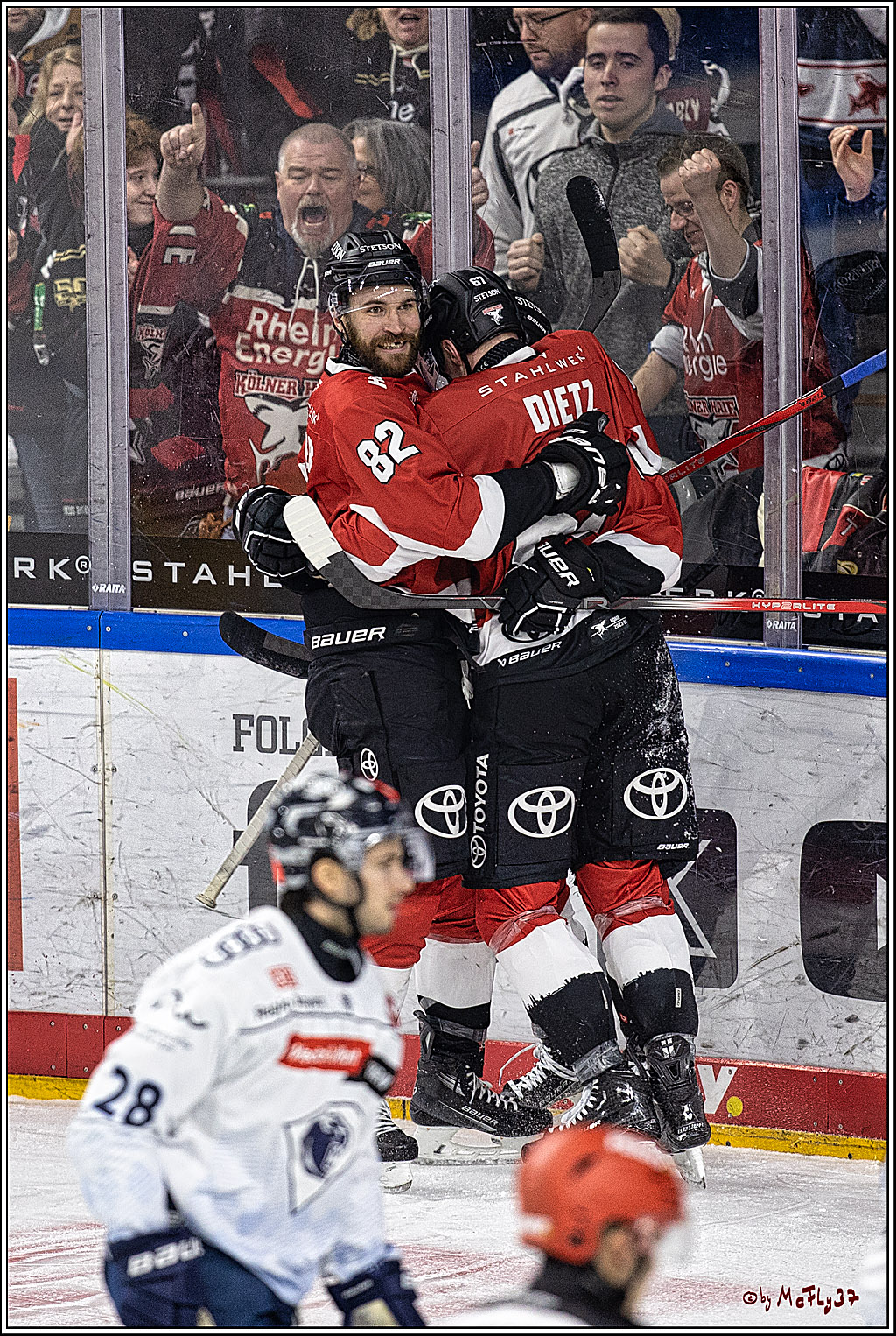 PENNY DEL 1, Koelner Haie - ERC Ingolstadt; Köln, 07.12.2023