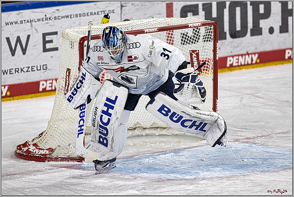PENNY DEL 1, Koelner Haie - ERC Ingolstadt; Köln, 07.12.2023