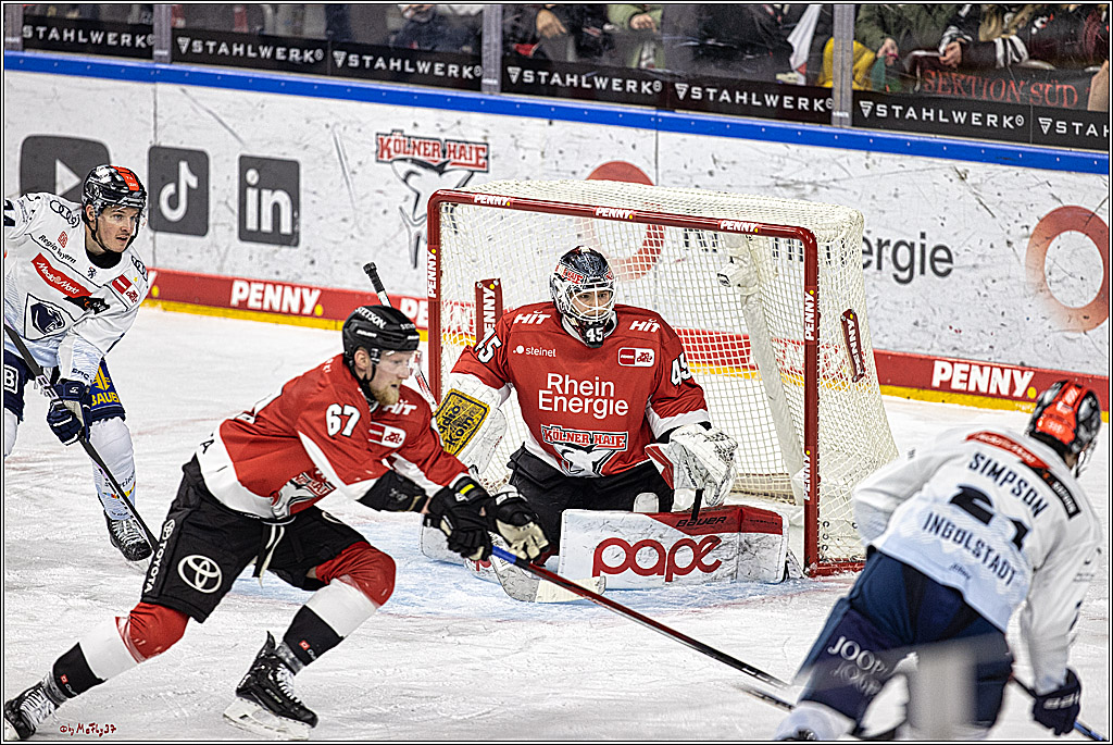 PENNY DEL 1, Koelner Haie - ERC Ingolstadt; Köln, 07.12.2023