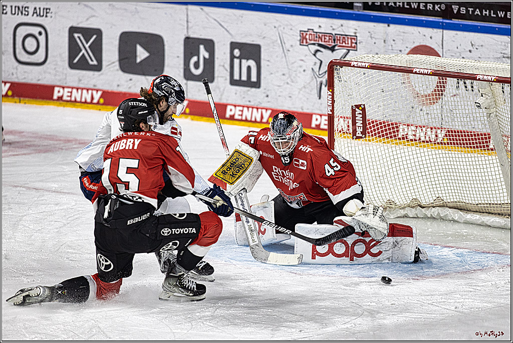 PENNY DEL 1, Koelner Haie - ERC Ingolstadt; Köln, 07.12.2023