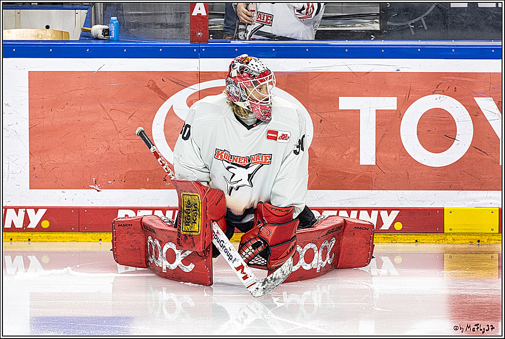 PENNY DEL 1, Koelner Haie - ERC Ingolstadt; Köln, 07.12.2023