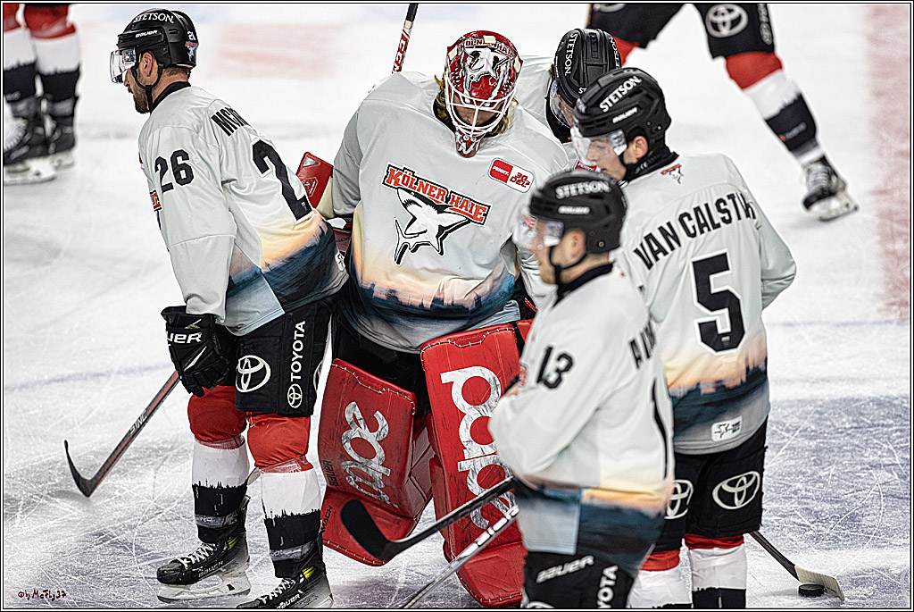 PENNY DEL 1. Koelner Haie - Straubing Tigers; Koeln, 15.12.2023