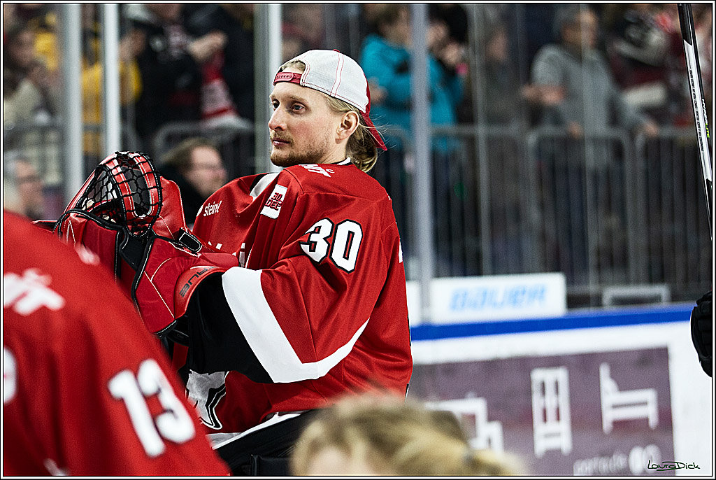 PENNY DEL; Koelner Haie- Straubing Tigers; Koeln, 15.12.2023
