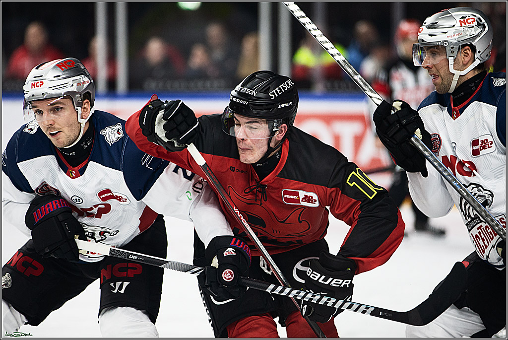PENNY DEL; Koelner Haie- Nuernberger Ice Tigers; Koeln, 17.12.2023