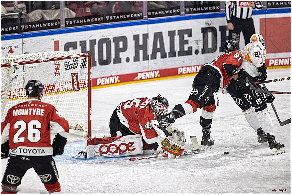 PENNY DEL 1. Kölner Haie - Grizzlys Wolfsburg; Köln, 21.12.2023