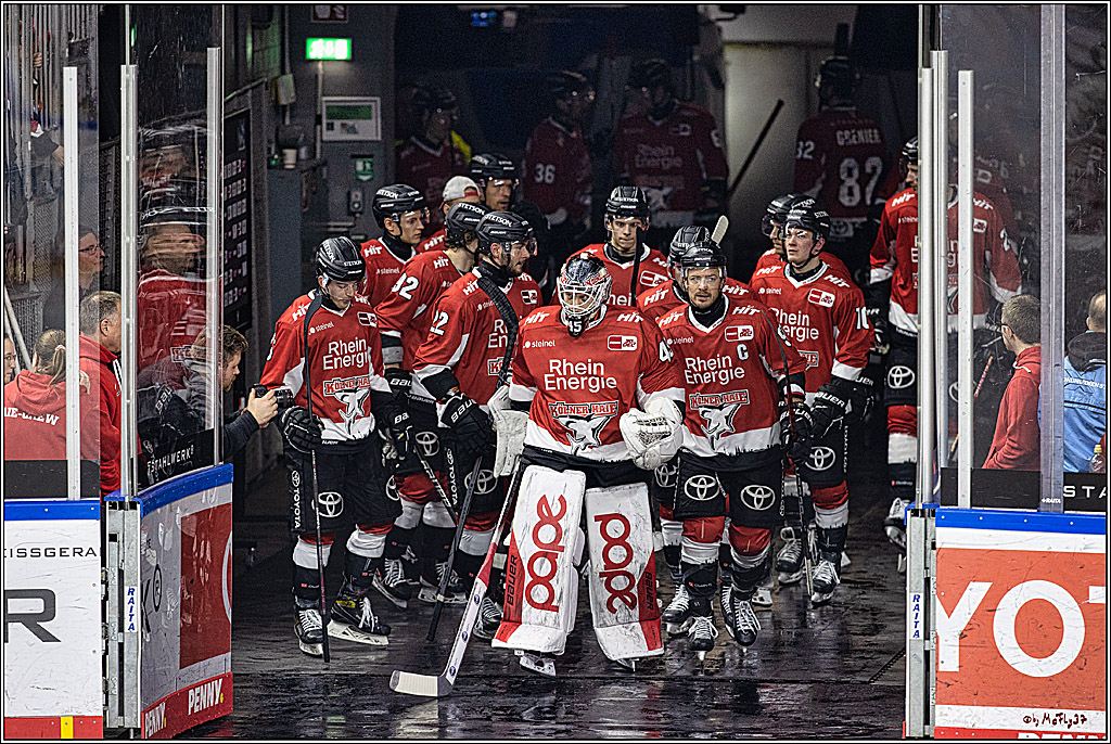 PENNY DEL 1. Kölner Haie - Grizzlys Wolfsburg; Köln, 21.12.2023
