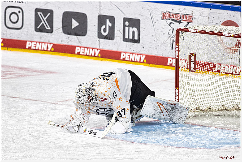 PENNY DEL 1. Kölner Haie - Grizzlys Wolfsburg; Köln, 21.12.2023