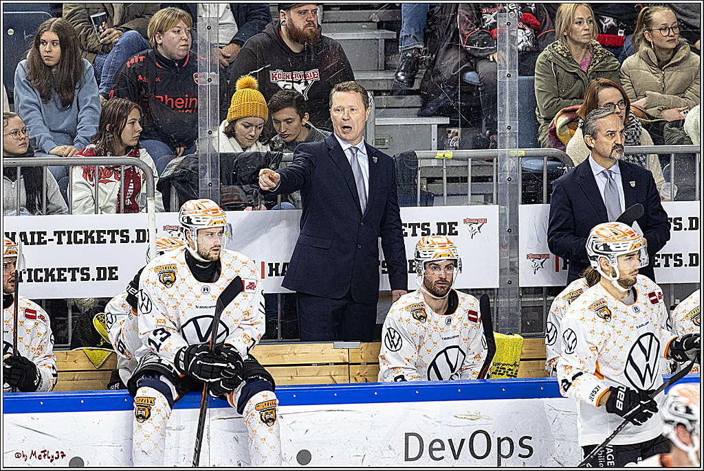 PENNY DEL 1. Kölner Haie - Grizzlys Wolfsburg; Köln, 21.12.2023