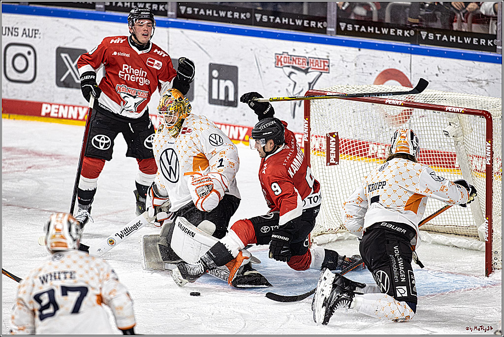 PENNY DEL 1. Kölner Haie - Grizzlys Wolfsburg; Köln, 21.12.2023