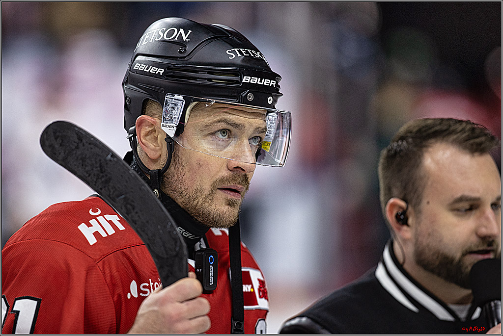 PENNY DEL 1. Kölner Haie - Grizzlys Wolfsburg; Köln, 21.12.2023