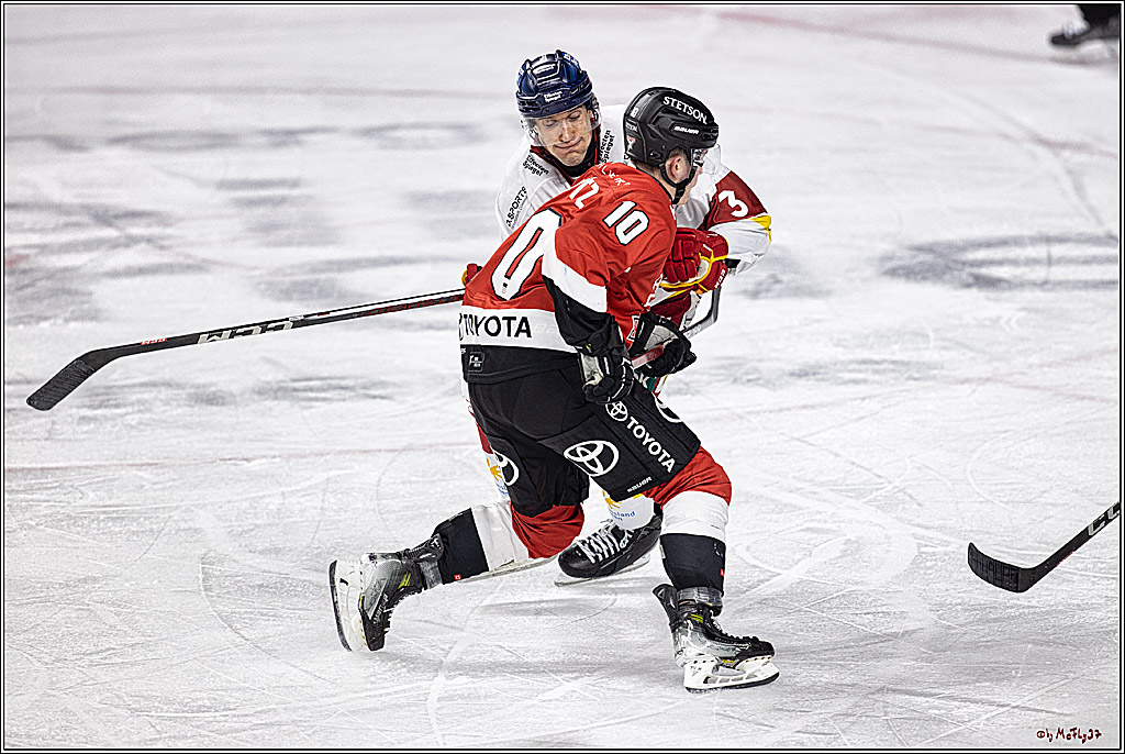 PENNY DEL 1. Kölner Haie -Düsseldorfer EG ; Köln, 28.12.2023