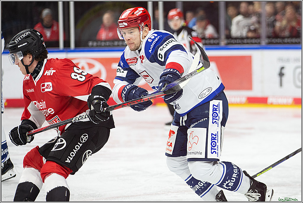 PENNY DEL; Koelner Haie- Schwenninger Wild Wings; Koeln, 14.01.2024