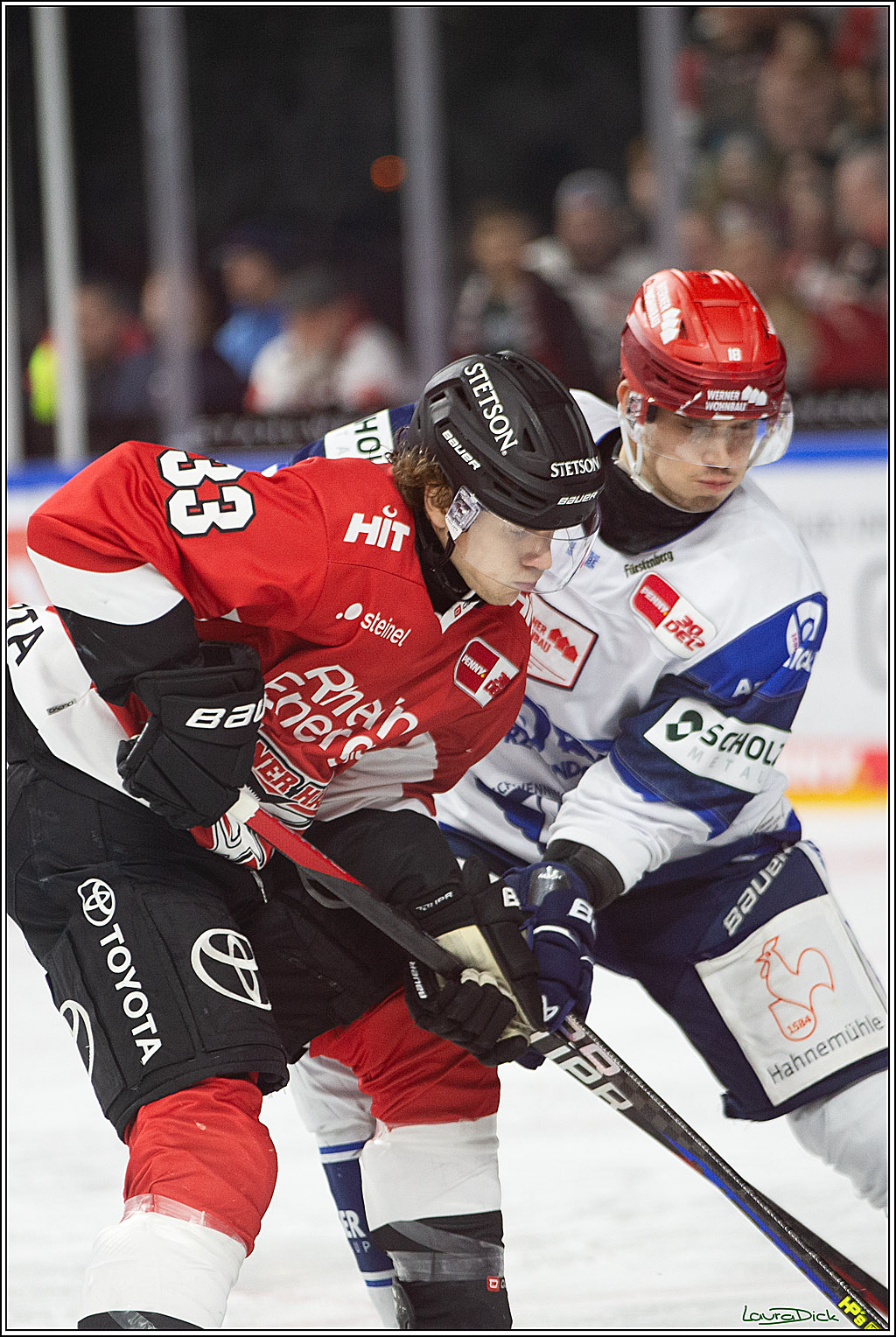 PENNY DEL; Koelner Haie- Schwenninger Wild Wings; Koeln, 14.01.2024