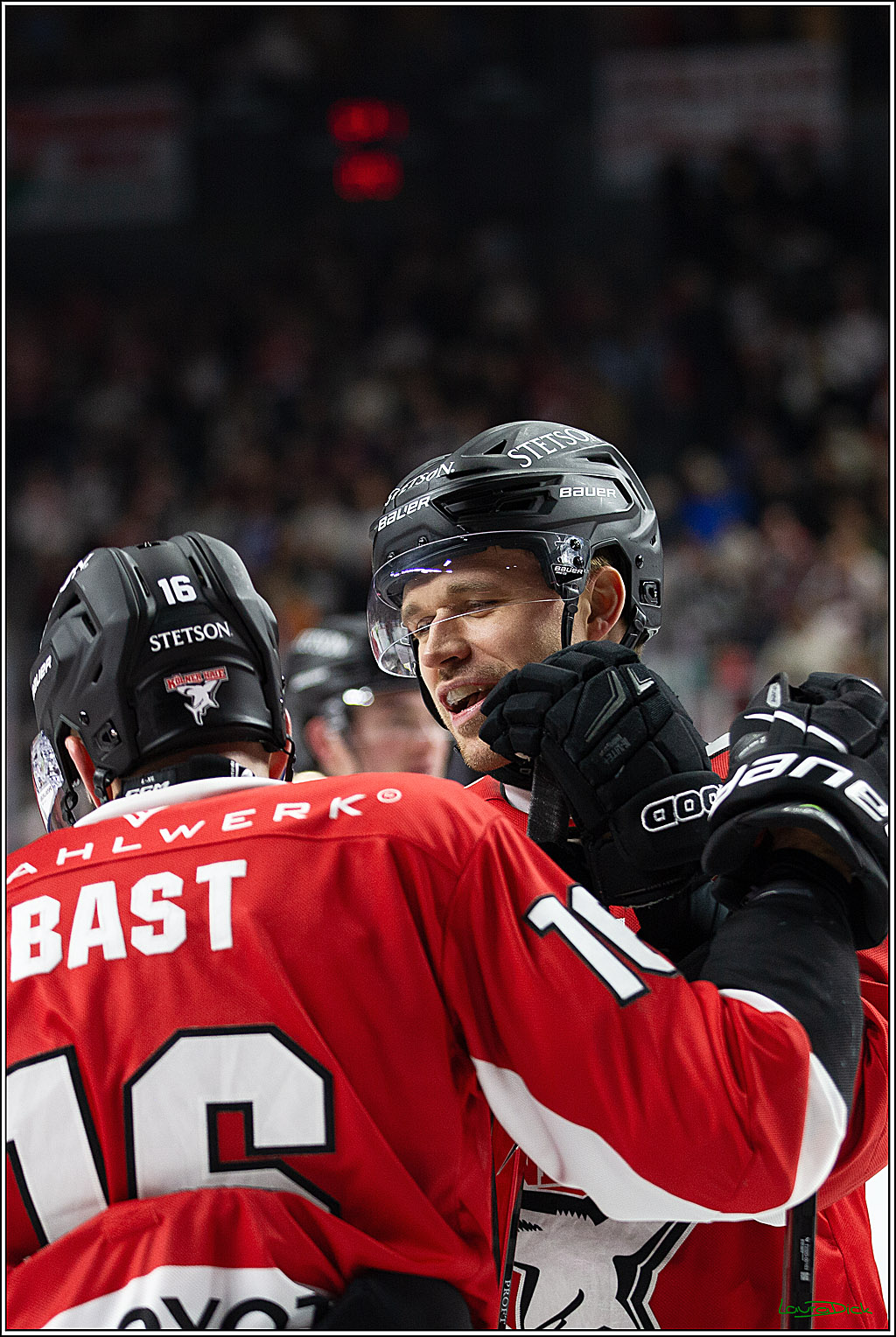 PENNY DEL; Koelner Haie- Schwenninger Wild Wings; Koeln, 14.01.2024