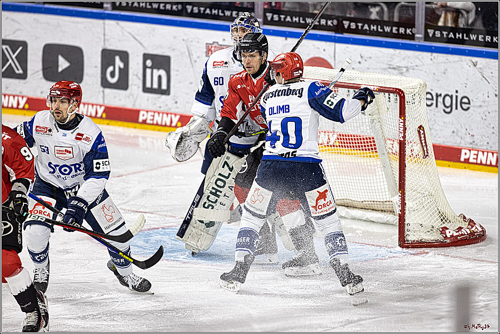 PENNY DEL 1; Kölner Haie - Schwenninger Wild Wings; Köln, 14.01.2024
