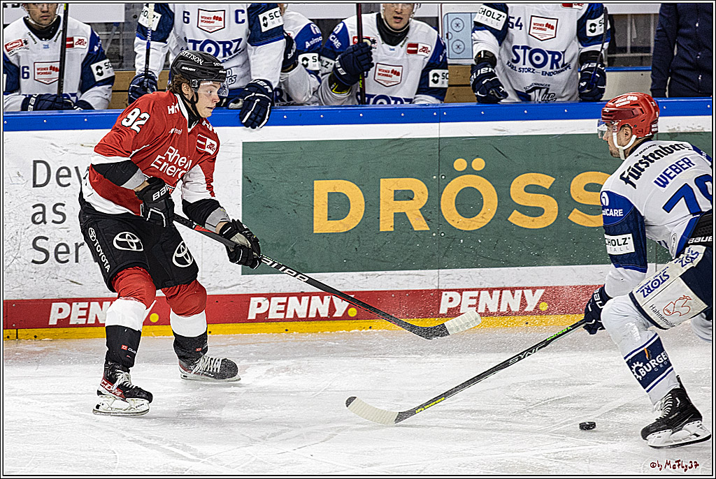 PENNY DEL 1; Kölner Haie - Schwenninger Wild Wings; Köln, 14.01.2024