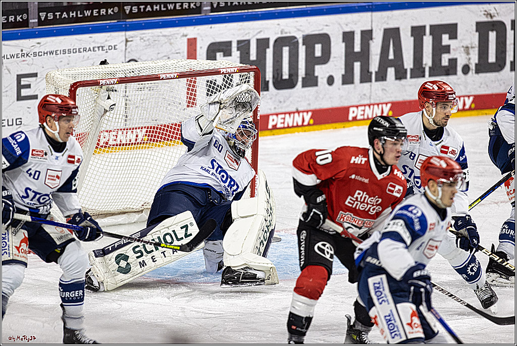 PENNY DEL 1; Kölner Haie - Schwenninger Wild Wings; Köln, 14.01.2024