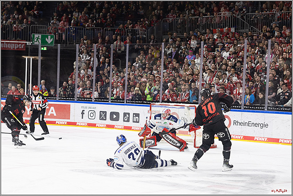 PENNY DEL 1; Kölner Haie - Iserlohn Roosters; Köln, 13.02.2024