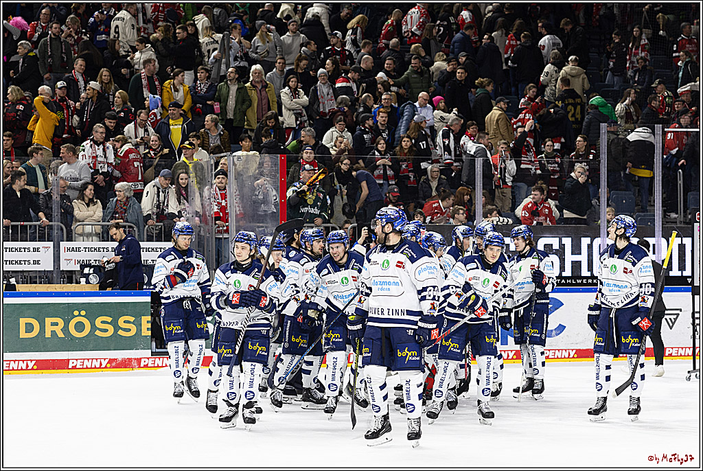 PENNY DEL 1; Kölner Haie - Iserlohn Roosters; Köln, 13.02.2024