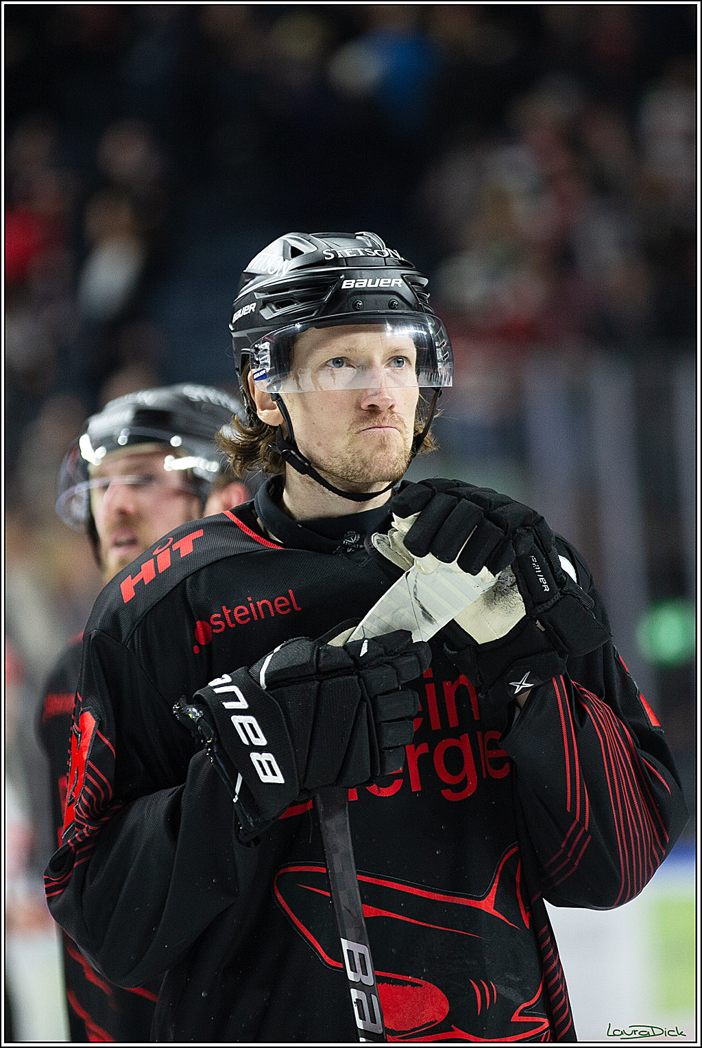 PENNY DEL; Koelner Haie- Iserlohn Roosters; Koeln, 13.02.2024